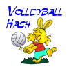 Volly Ball Hash