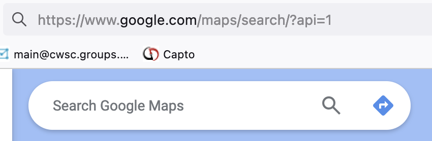 Google Search Screenshot
